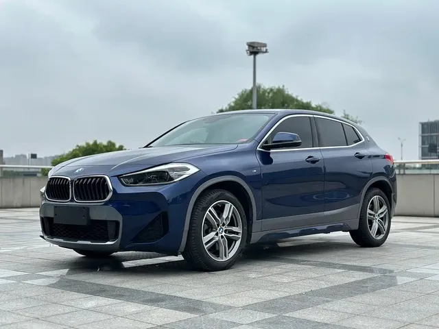 BMW X2 2020 sDrive25i Leading M Off-Road Package