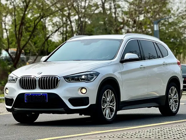 BMW X1 2019 sDrive20Li Leading Model
