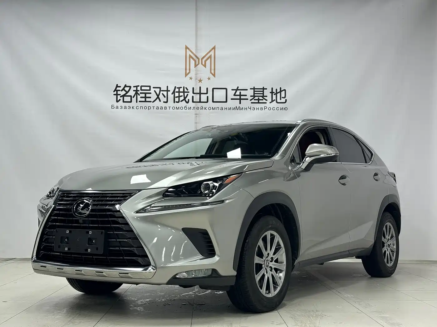 Lexus NX 2020 200 AWD F Sport China V
