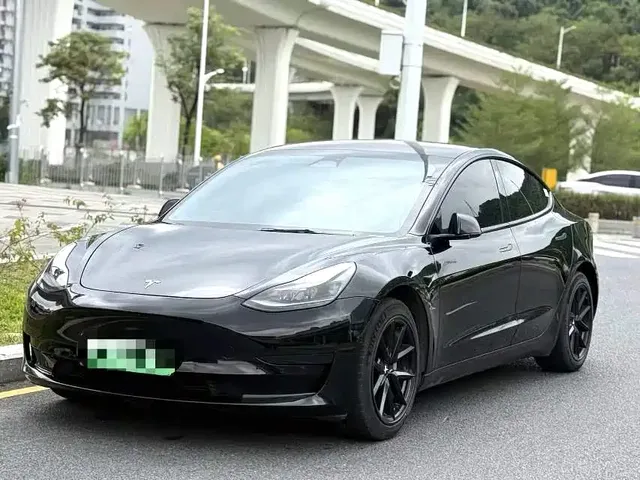 Tesla Model 3 2022 Model Rear-Wheel Drive Version