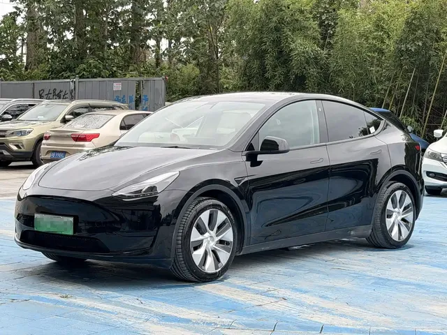 Tesla Model Y 2022 Rear-Wheel Drive Version