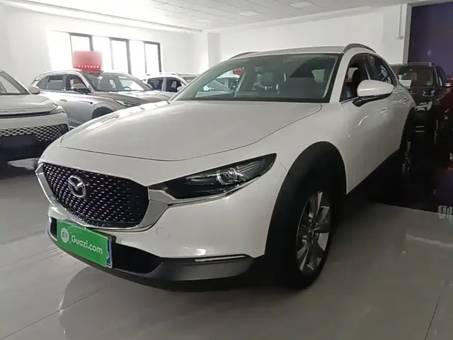Mazda CX-30 2021 2.0L Auto Premium Joy Type