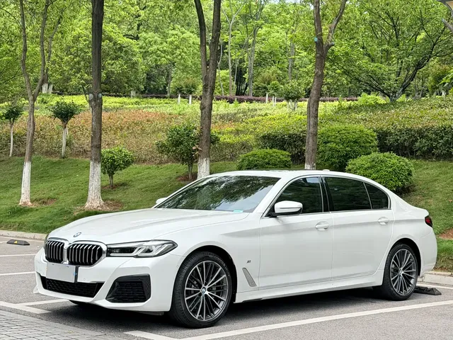 BMW 5 Series 2021 530Li Leading M Sport Package