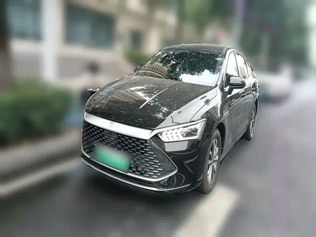 BYD Qin PLUS 2024 Glory Edition DM-i 55KM Leading