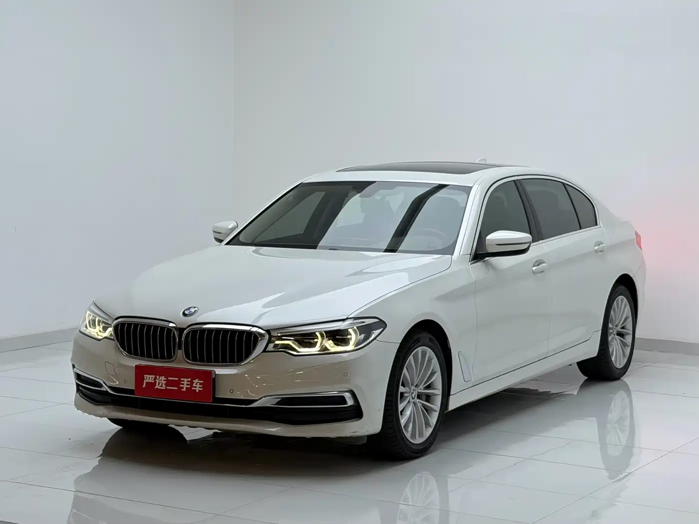 BMW 5 Series 2020 530Li Leading Luxury Package