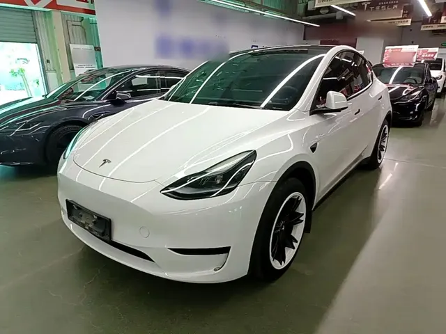 Tesla Model Y 2024 Rear-Wheel Drive Version