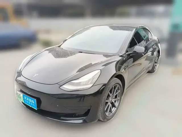 Tesla Model 3 2020 Standard Range Rear-Wheel Drive Upgrade