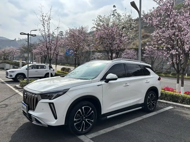 GAC Trumpchi GS4 PLUS 2023 390T Auto Nebula Edition
