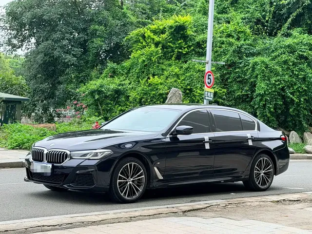 BMW 5 Series 2021 530Li Leading M Sport Package