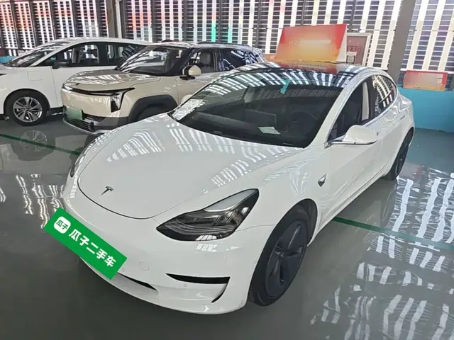 Tesla Model 3 2020 Standard Range Rear-Wheel Drive Upgrade