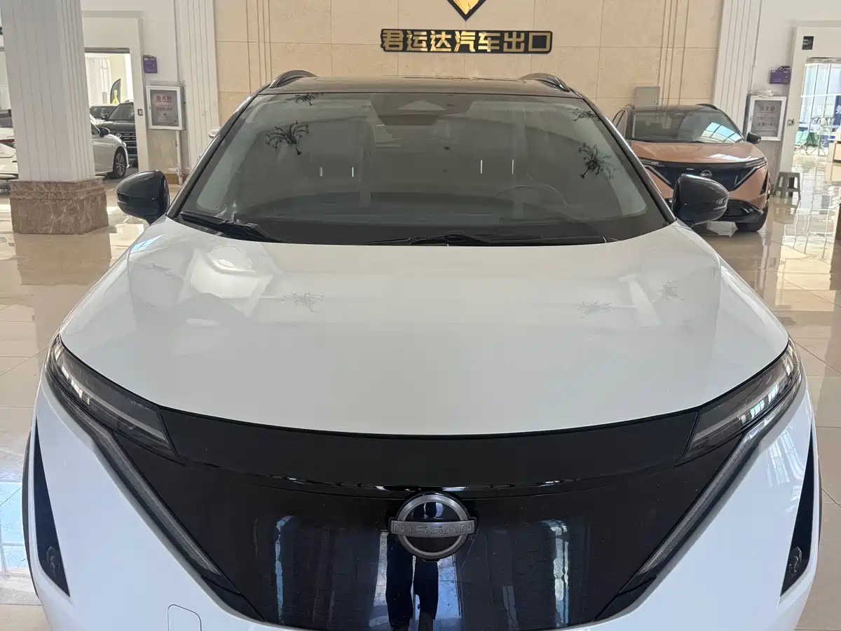 Nissan ARIYA 2022 4WD High Performance Top Edition