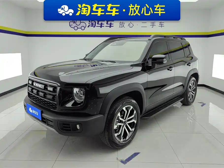 Haval Big Dog 2024 1.5T DCT Border Collie Edition