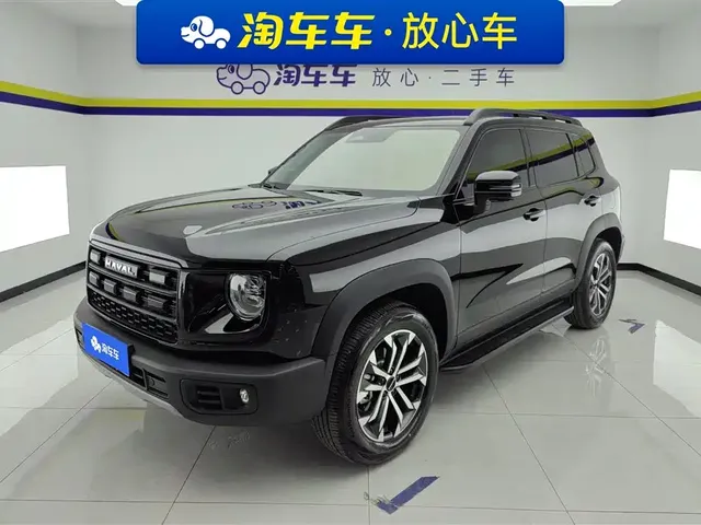 Haval Big Dog 2024 1.5T DCT Border Collie Edition