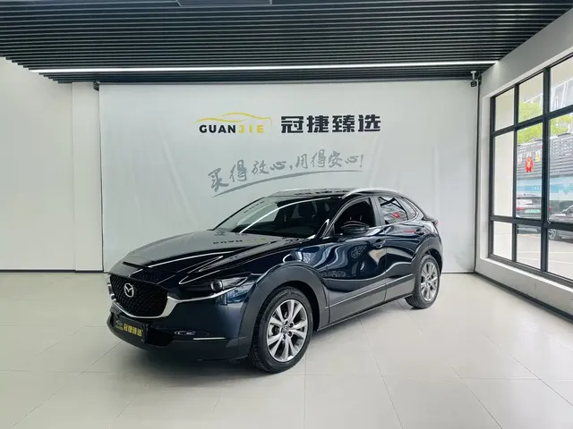 Mazda CX-30 2021 2.0L Auto Premium Joy Type