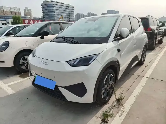 BYD Seagull 2025 Smart Drive Edition 305km Freedom Version