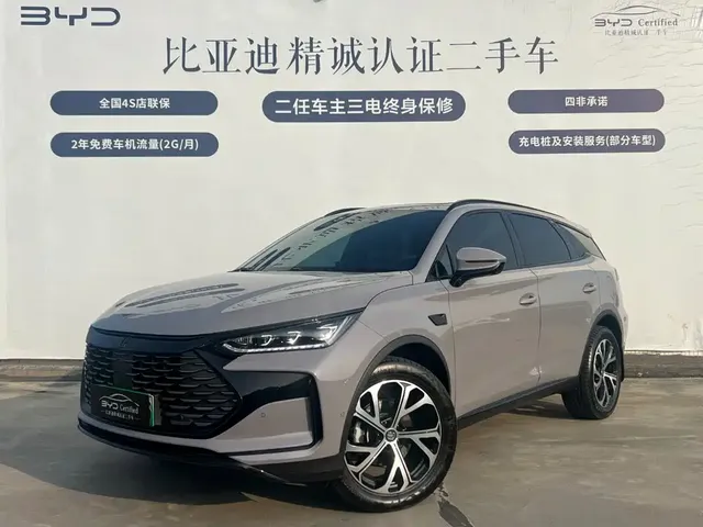 BYD Tang New Energy 2025 Smart Driving Edition DM-i 115KM Premium