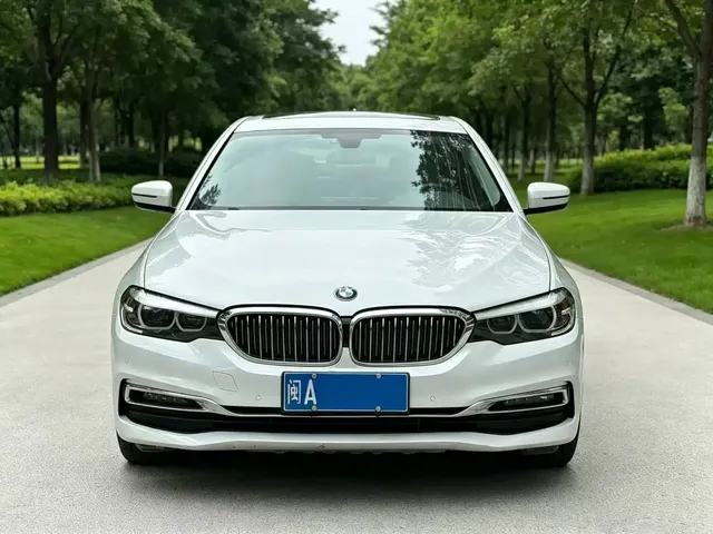 BMW 5 Series 2019 530Li Leading Luxury Package