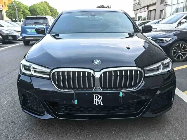 BMW 5 Series 2022 530Li Leading Luxury Package