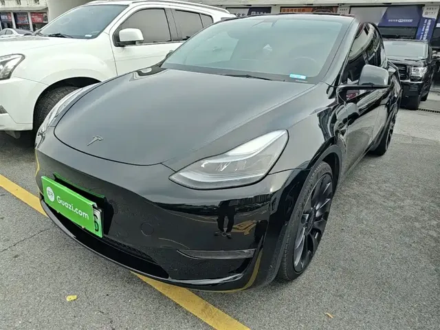 Tesla Model Y 2022 Performance High-Performance All-Wheel Drive Version