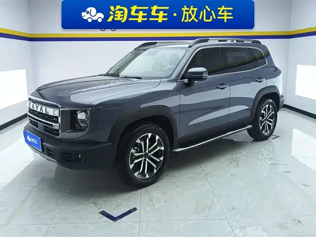 Haval Big Dog 2024 1.5T DCT Border Collie Edition