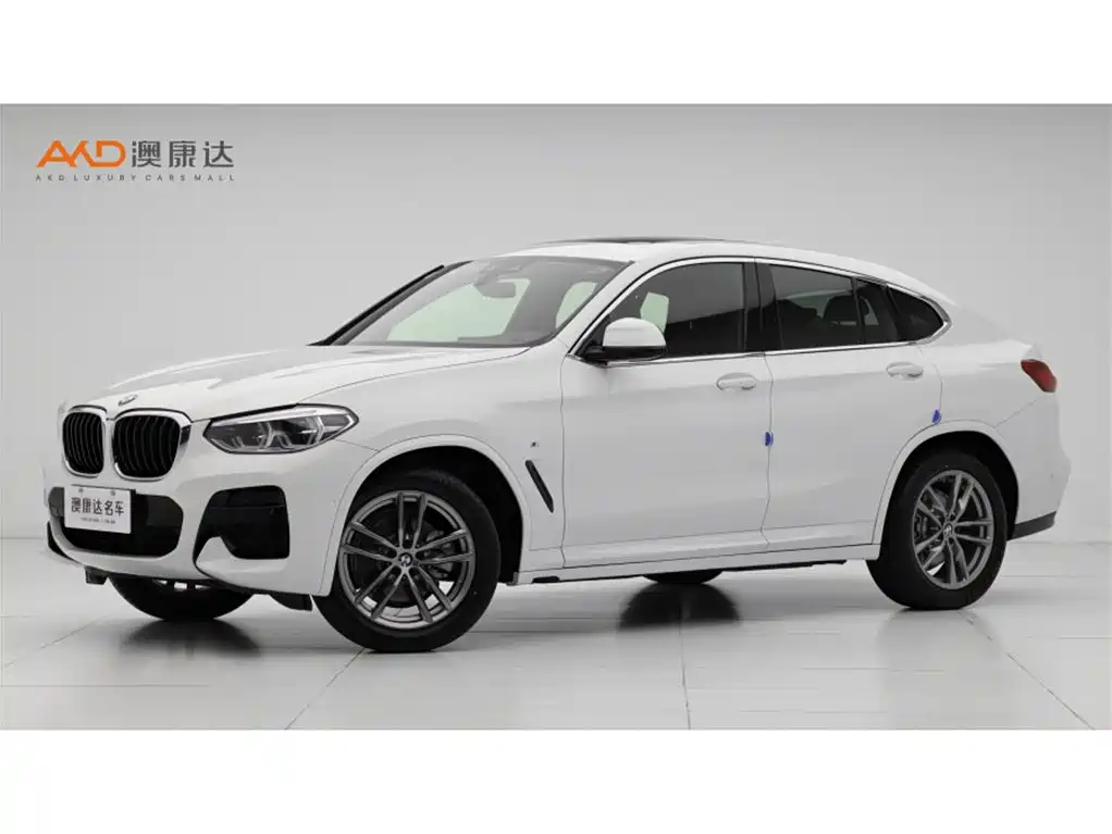 BMW X4 2020 xDrive25i M Sport Package