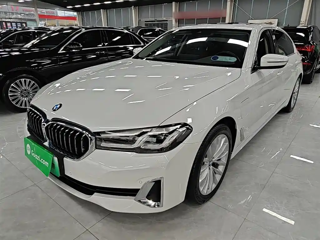 BMW 5 Series New Energy 2021 535Le Luxury Package