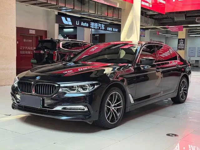 BMW 5 Series New Energy 2019 530Le Luxury Package