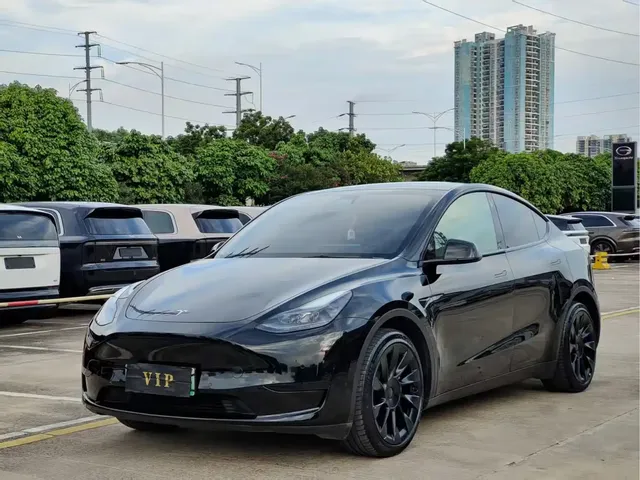 Tesla Model Y 2022 Rear-Wheel Drive Version