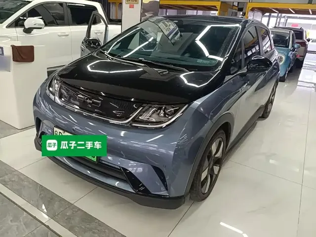 BYD Dolphin 2023 401km Knight Edition