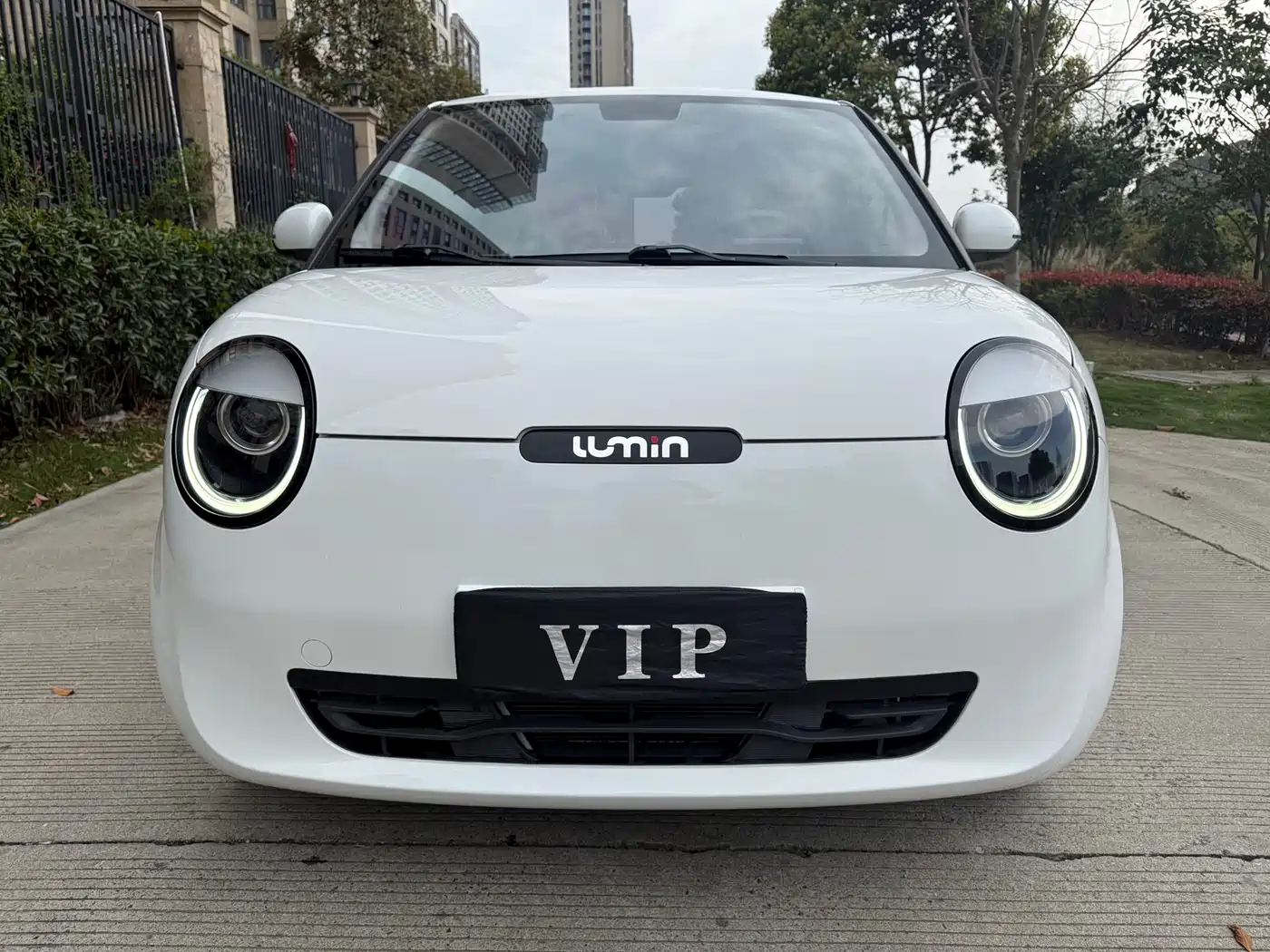 Changan Qiyuan Changan Lumin 2022 210km Sweet Edition