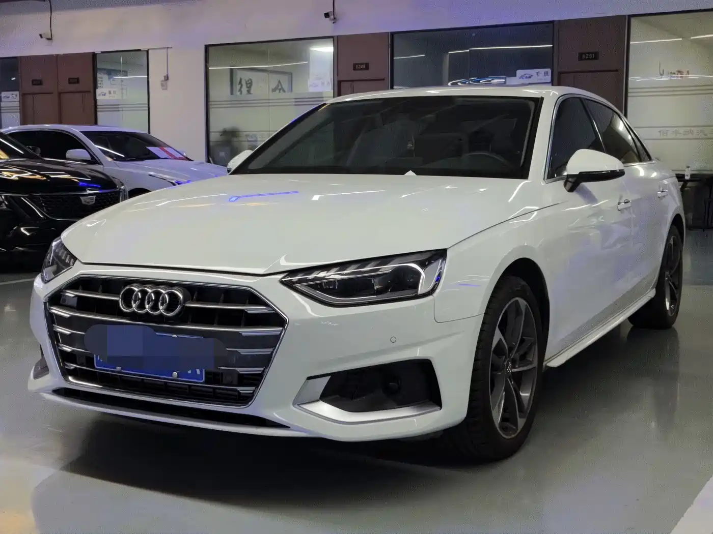 Audi A4L 2021 40 TFSI Premium Life Edition