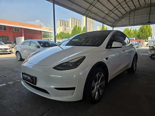 Tesla Model Y 2022 Rear-Wheel Drive Version