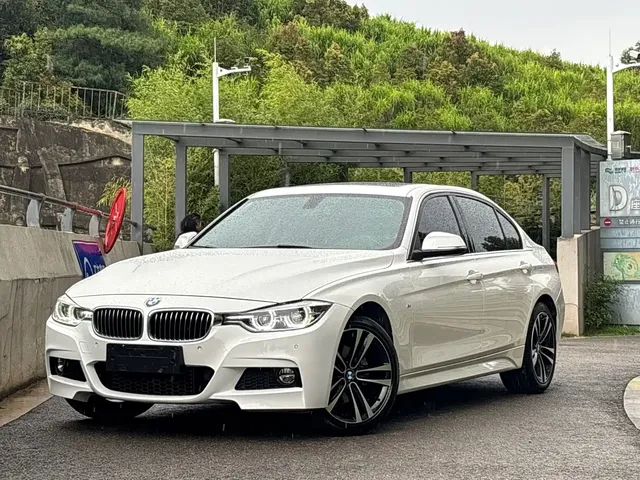 BMW 3 Series 2019 320Li M Sport Package
