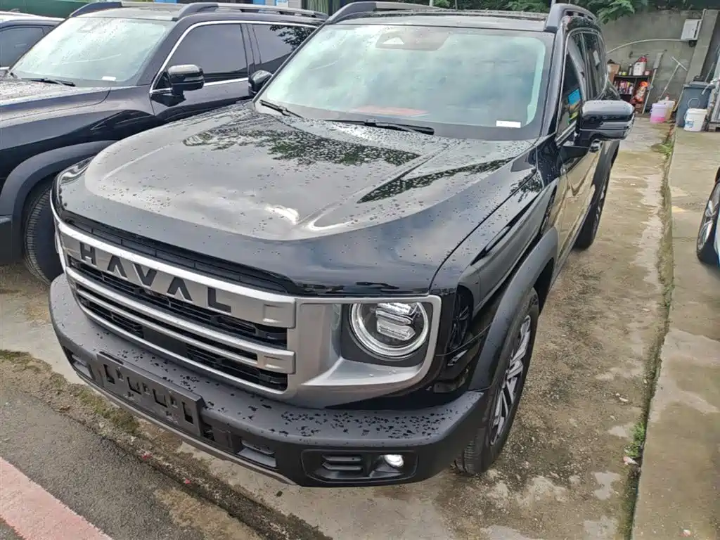 Haval Big Dog 2024 1.5T DCT Border Collie Edition