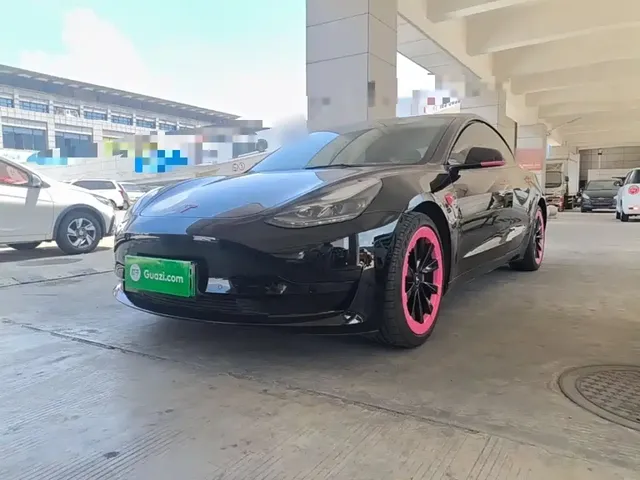 Tesla Model 3 2021 Standard Range Rear-Wheel Drive Upgrade 3D6