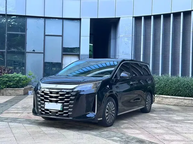 BYD Xia 2025 DM-i 1.5T 100km Leading Edition