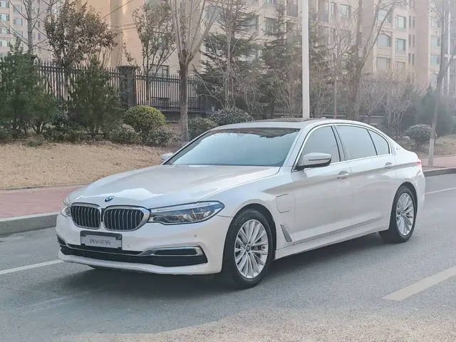 BMW 5 Series New Energy 2019 Facelift 530Le Luxury Package