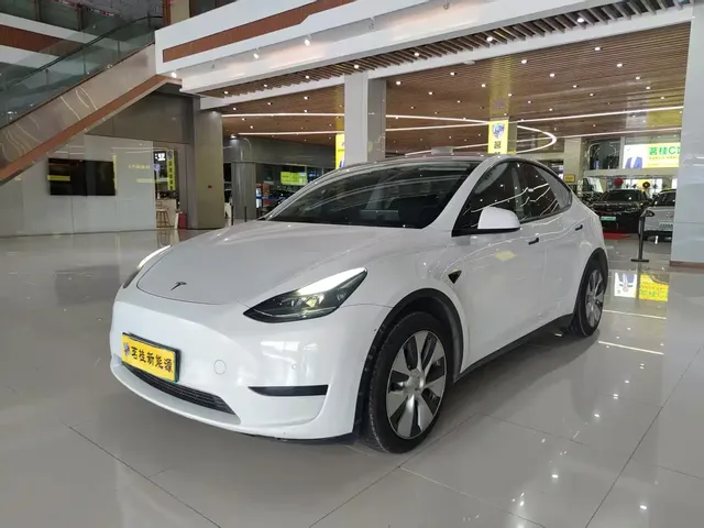 Tesla Model Y 2022 Rear-Wheel Drive Version