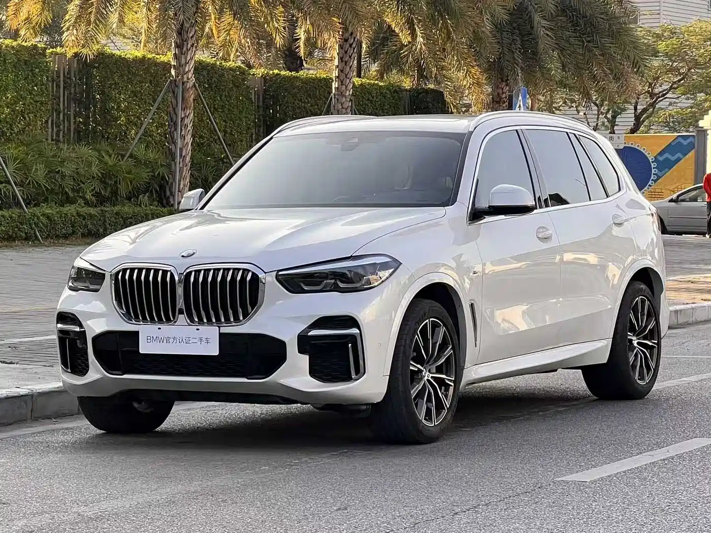 BMW X5 2022 xDrive 30Li M Sport Package