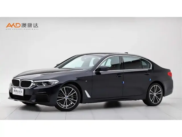 BMW 5 Series 2020 530Li Exclusive M Sport Package