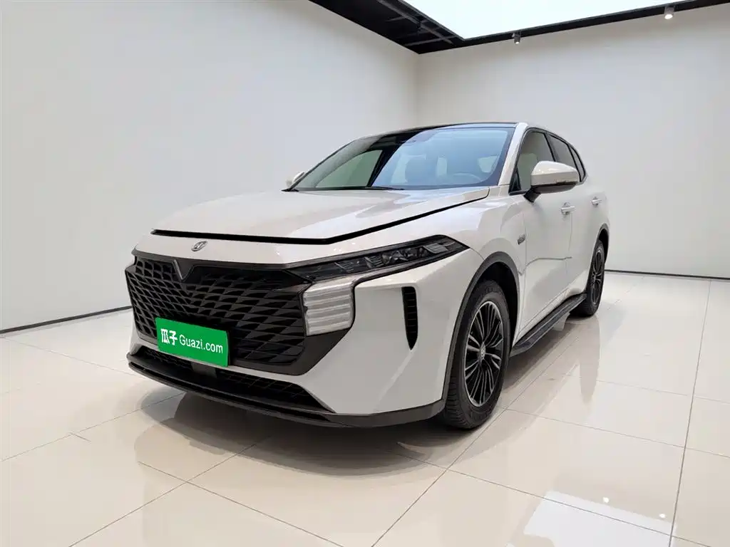 Venucia Big V 2021 260T Idol Edition