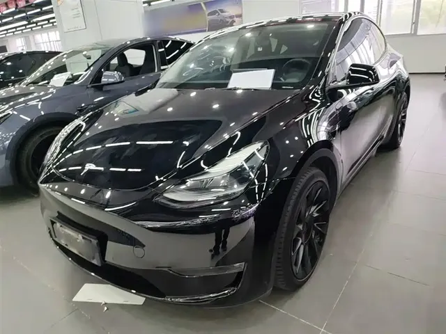Tesla Model Y 2021 Standard Range Rear-Wheel Drive