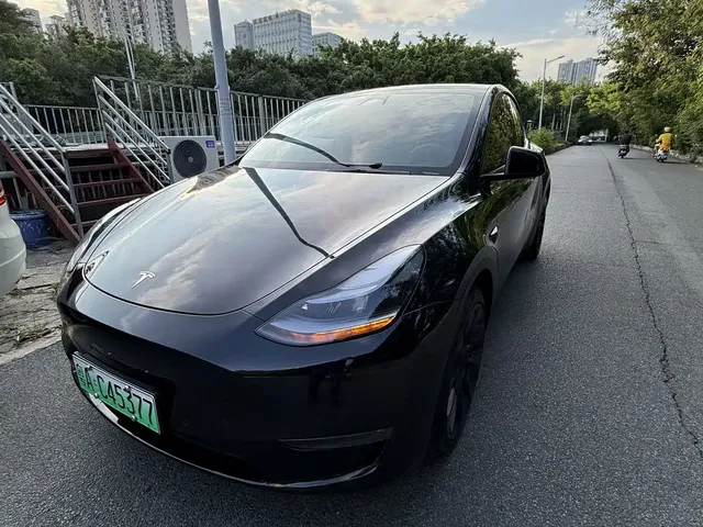 Tesla Model Y 2021 Standard Range Rear-Wheel Drive