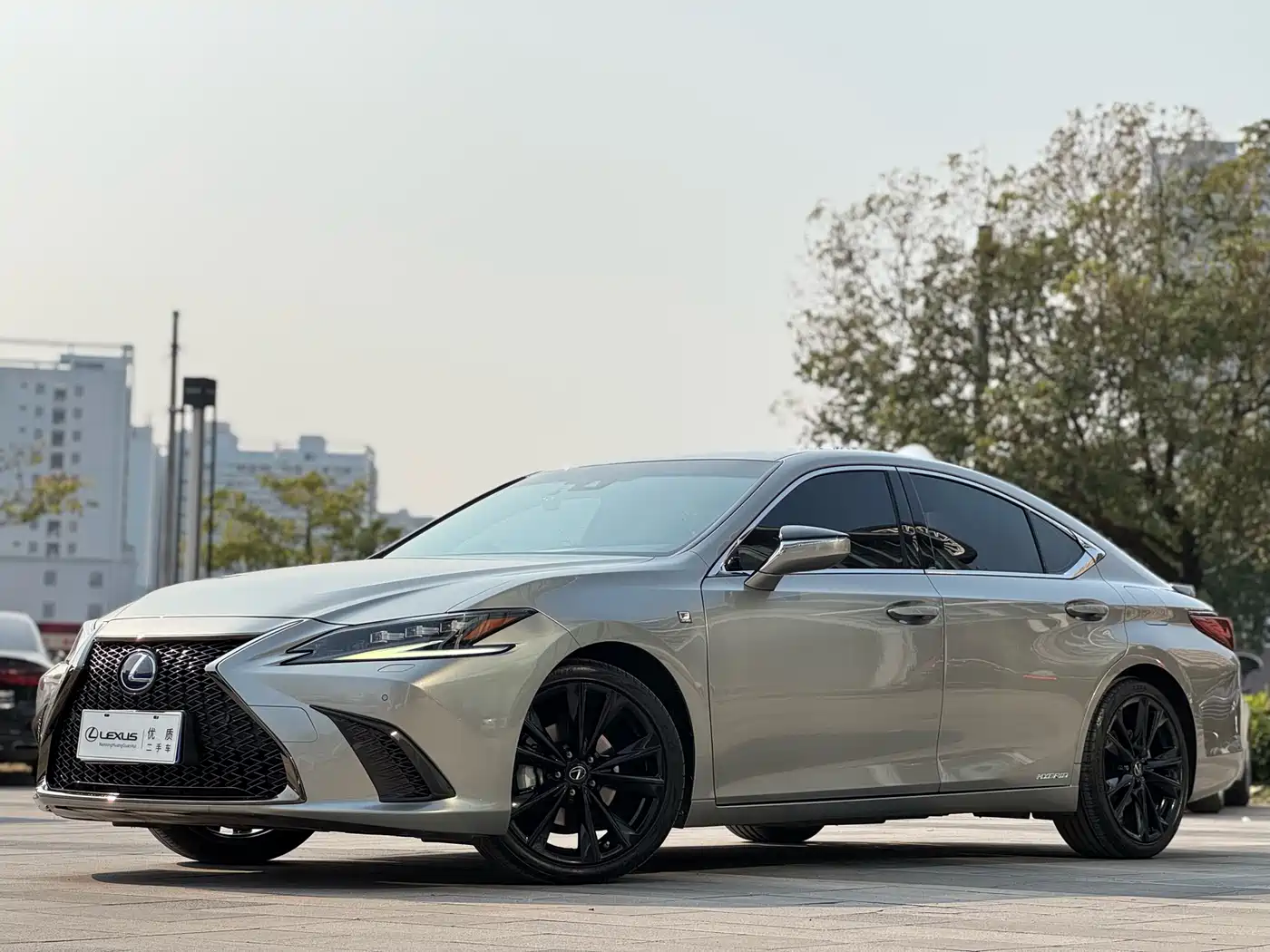 Lexus ES 2021 300h F SPORT