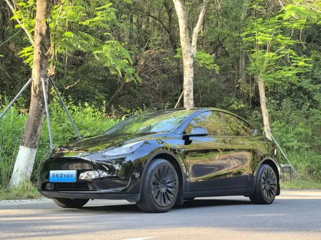 Tesla Model Y 2022 Rear-Wheel Drive Version
