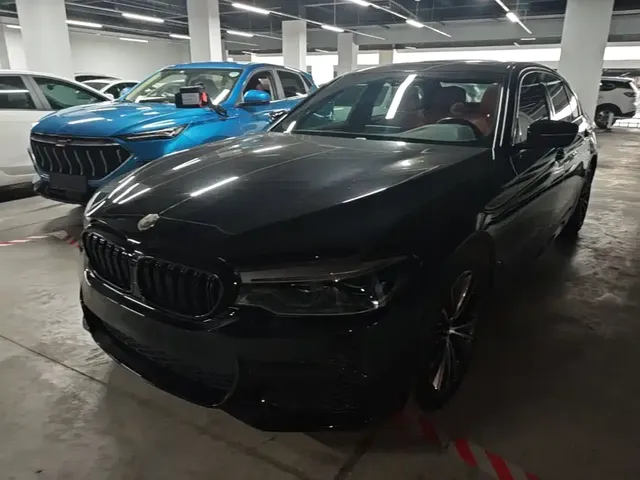 BMW 5 Series 2020 530Li Leading M Sport Package