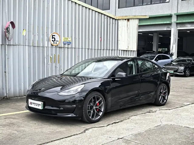 Tesla Model 3 2021 Performance High-Performance All-Wheel Drive 3D6