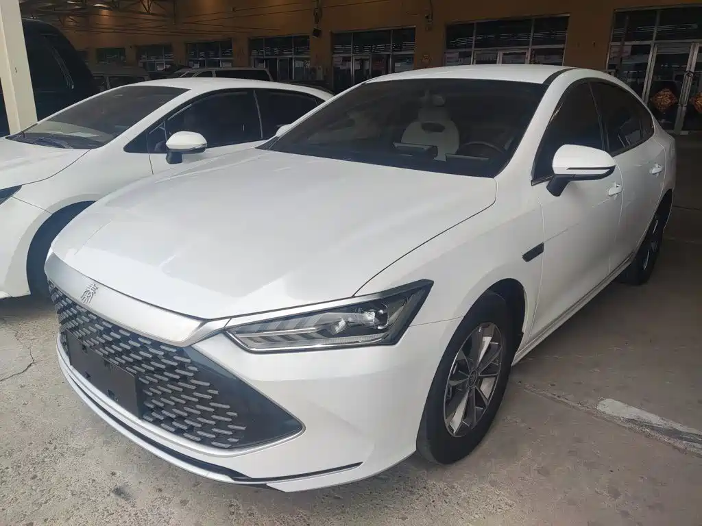 BYD Qin PLUS 2024 Glory Edition DM-i 55KM Leading