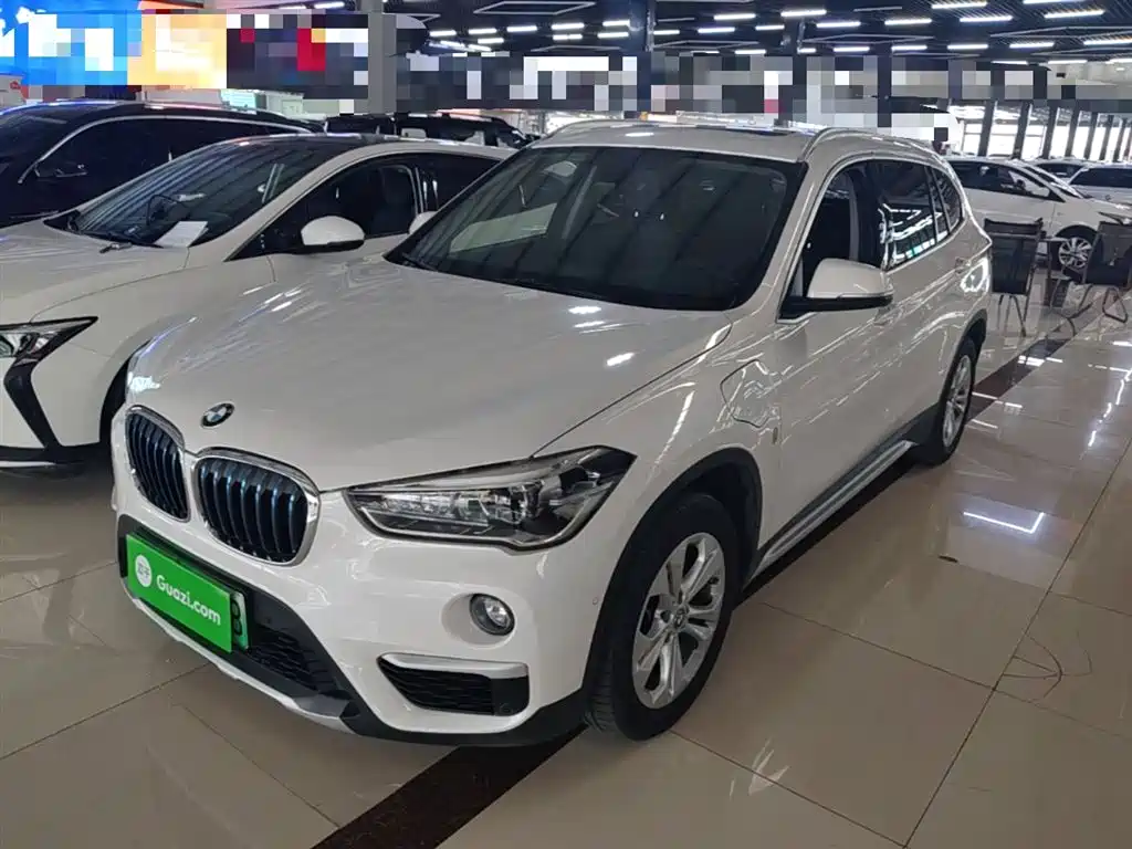 BMW X1 New Energy 2019 xDrive25Le Range Upgrade Edition
