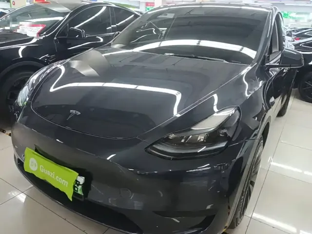 Tesla Model Y 2024 Rear-Wheel Drive Version